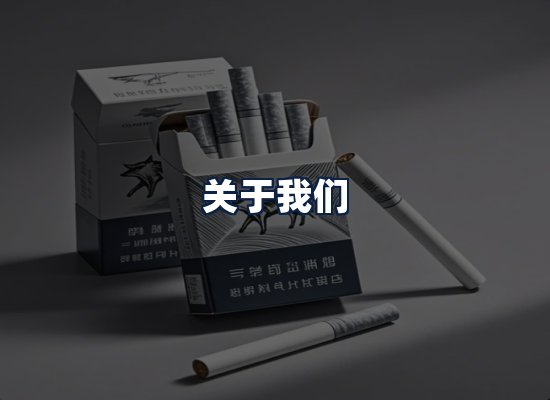 关于我们